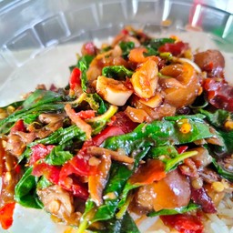 ชานมไต้หวัน ข้าวหมูทอด