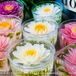 ผงวุ้นทำจากสาหร่ายแท้ 100%  หนึบหนับเหมือนเฉาก๊วยหอมละมุนรสชาติหวานน้อย ทานเจ ทา