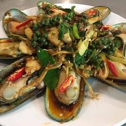 หอยแมงภู่นิวซีแลนด์ผัดฉ่าา