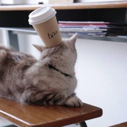 laau.cafe