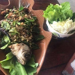 ลาบปลาตะเพียน เกล็ดกรอบ