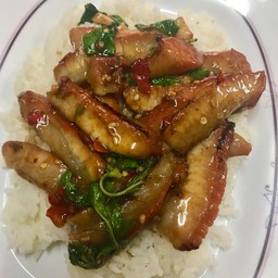 ข้าวราดผัดกระเพรา