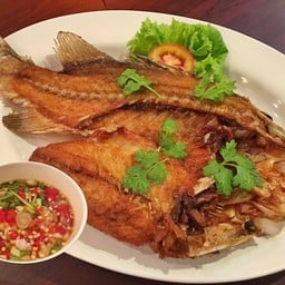 ปลากะพง