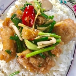 ข้าวราดผัดใบขึ้นช่าย