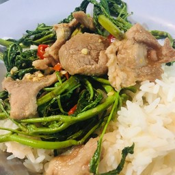 ข้าวราดผัดผักกะเฉด