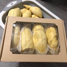 ทุเรียน