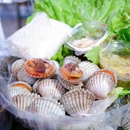 นิยมหอย songkhla