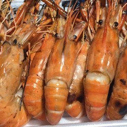 กุ้งเผา 1 กิโล