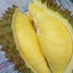 ทุเรียนหมอนทอง