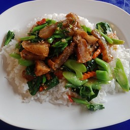 โกอ้วนอาหารตามสั่ง
