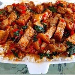 กระเพราพุงกาง