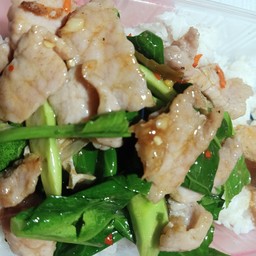 ข้าวคะน้าหมูชิ้นใส่พริก (ราดข้าว)