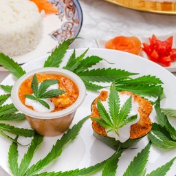 hormokpudding cannabis sativa
