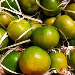 น้องทรายขายผลไม้