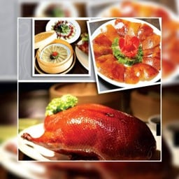 เป็ดปักกิ่ง