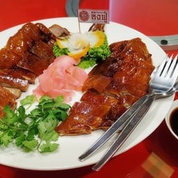 เป็ดกีต้า