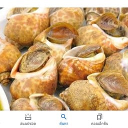 หอยหวาน Aoyagi