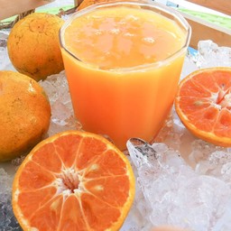 ไม่ใส่หัวเชื้อ ไม่ใส่วัตถุกันเสีย