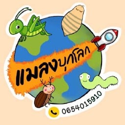 บ.ใบคึกคัก