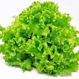 เพิ่มผักกาดหอม