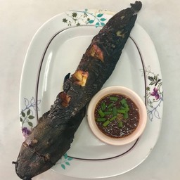 ปลาดุกย่าง