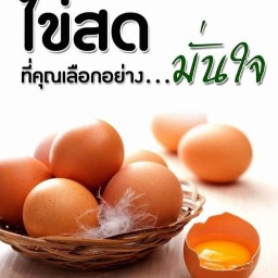 ไข่สด ตลาดบ้านเหนือ เเม่สอด บ้านเหนือ