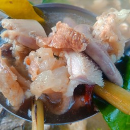 แซ่บอีหลีหนองคาย วัดใหม่ปินเกลียว