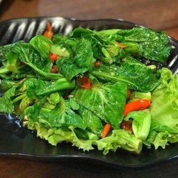 แขนงไฟแดง