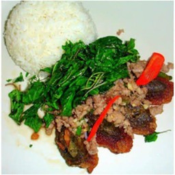 ข้าวราดกระเพราเยี่ยวม้า