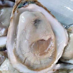 อันดามันซีฟู๊ด(เรื่องหอยไว้ใจผม)