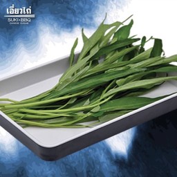 ผักบุ้ง