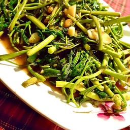 ผัดผักบุ้ง
