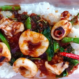 พริกแกงปลาหมึก ราดข้าว