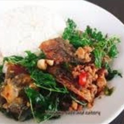 กระเพราไข่เยี่ยวม้าราดข้าว