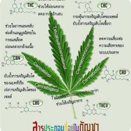 เจ้พร เตี๋ยวไก่ตุ๋นโบราณ พันท้ายนรสิงห์