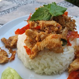 ครัวยายดา กระเพราแซบ