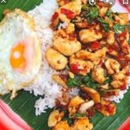 กะเพราไก่