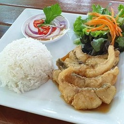 ข้าวคู่ปลากระพงน้ำปลา