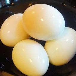 ไข่ไก่ต้ม