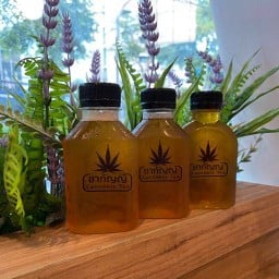 ชากัญญ์CannabisTea คลองเตย-พระราม4 ชากัญญ์ คลองเตย-พระราม4