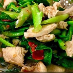 คะน้าไก่