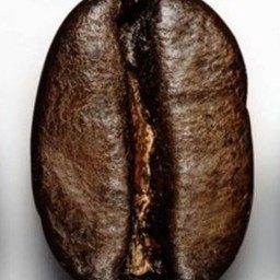 เมล็ด 3,000 ไมล์อเวย์