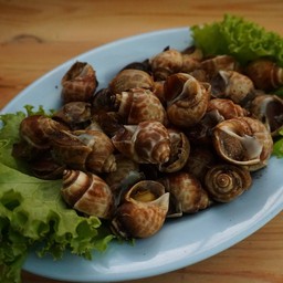 หอยหวานเผา