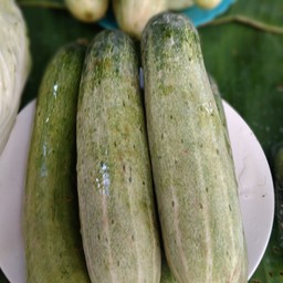 แตงกวา(ลูกใหญ่)