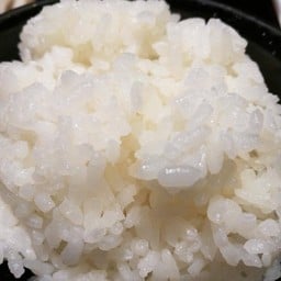 ข้าวญี่ปุ่น