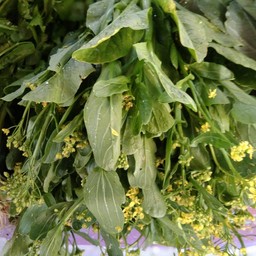 ผักกาดดอก