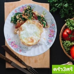 ข้าวผัดกะเพรา-กระเพรา ข้าวไข่เจียว กุ้งแช่น้ำปลา