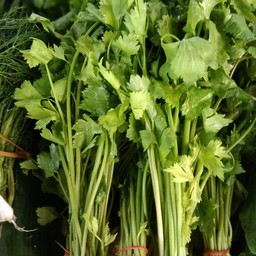 ผักคลื่นฉ่าย