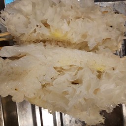 เห็ดหูหนูขาว