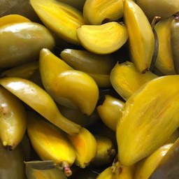 มะดันดอง